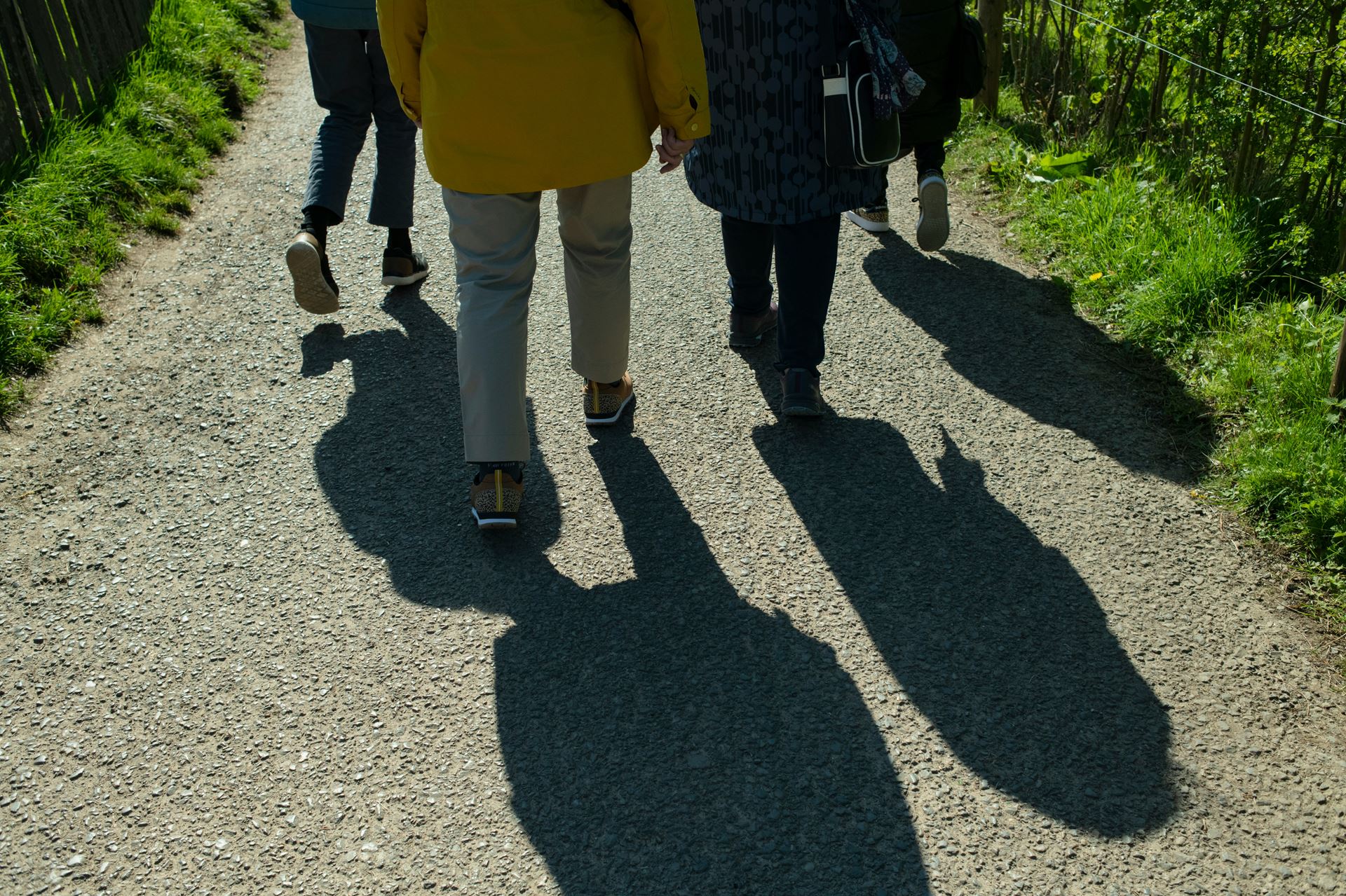 A group of people walking along a path alongside grass