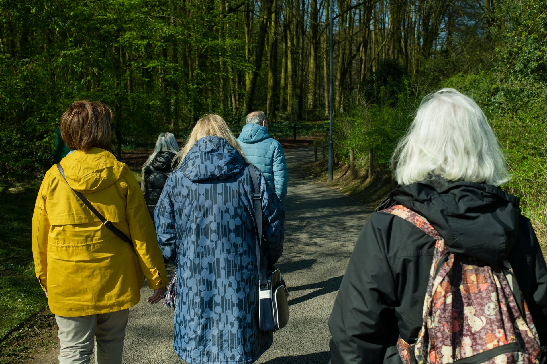 A group of women walking in a forest